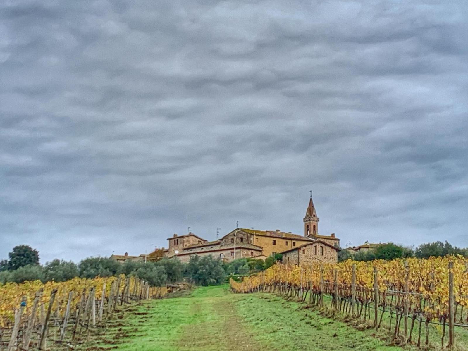 House With A View In Tuscany San Gusme Exterior foto