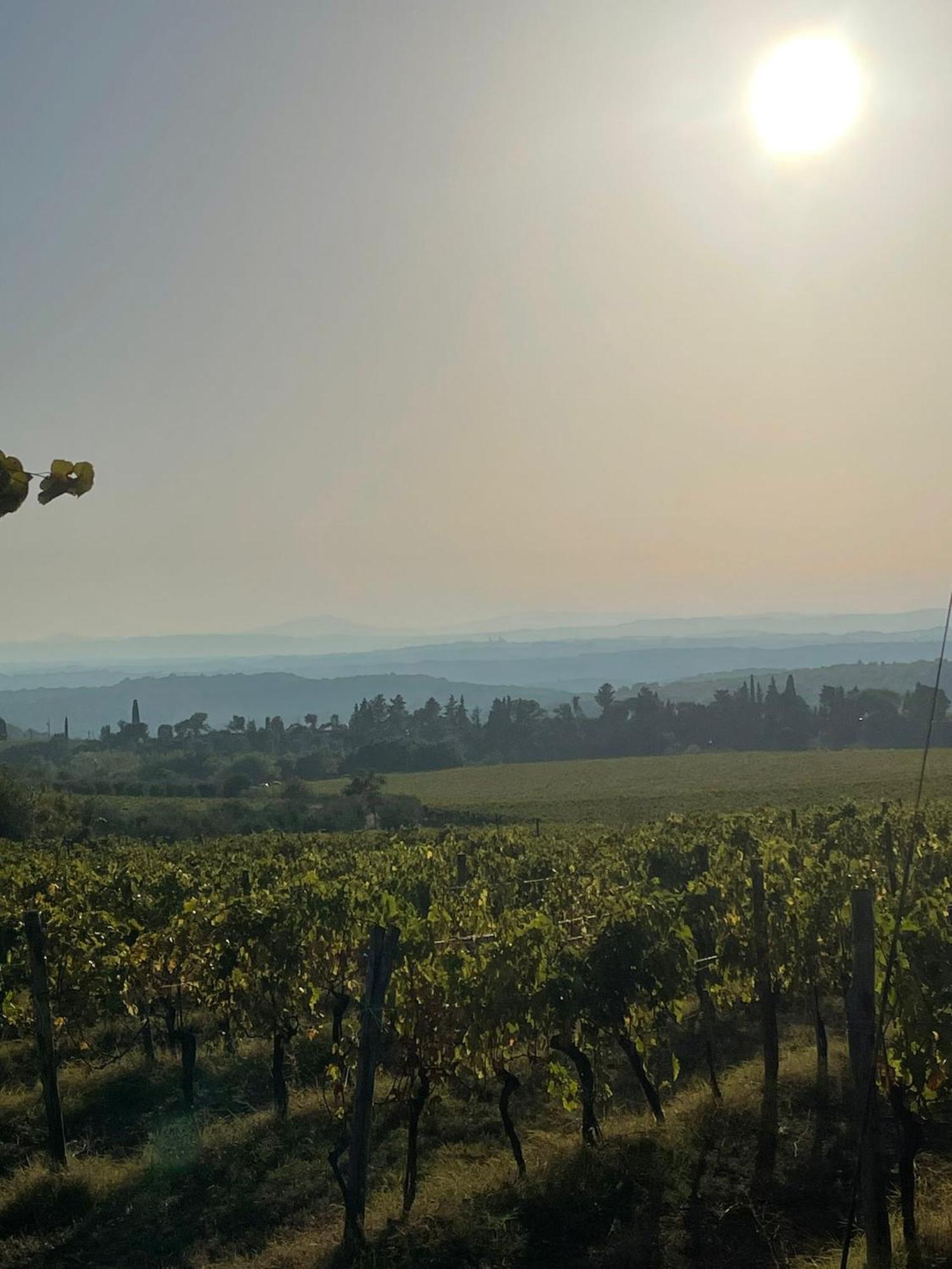 House With A View In Tuscany San Gusme Exterior foto