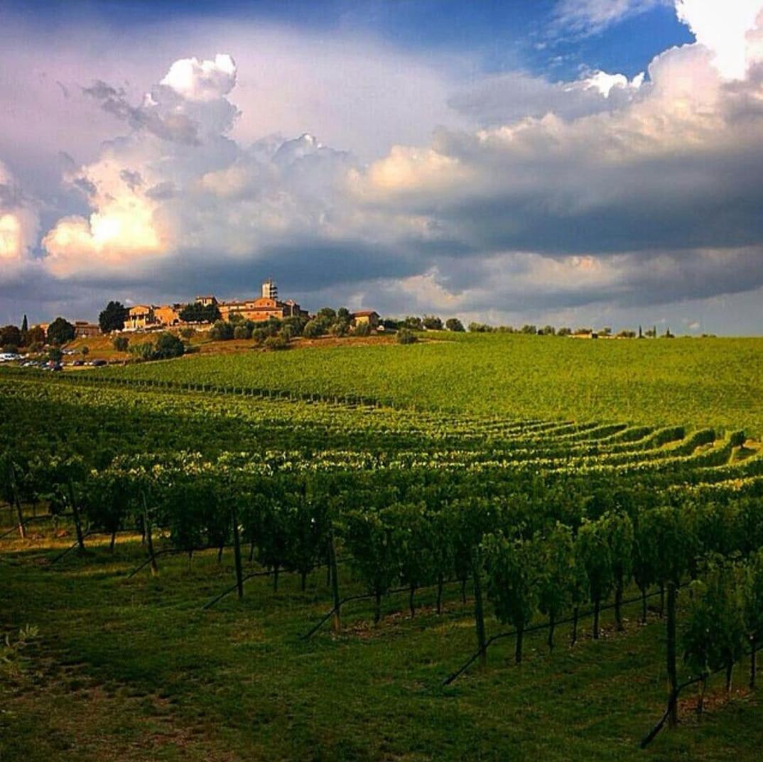 House With A View In Tuscany San Gusme Exterior foto